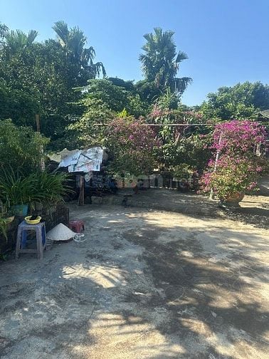 Bán 1320m2 đất trong đó có 250m2 đất thổ cư, tại Văn Sơn, Hoàng Văn Th