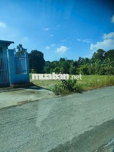 Đất Tân Phú Trung 1009m2 full thổ thích hợp xây xưởng