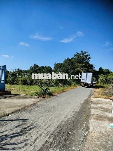 Đất Tân Phú Trung 1009m2 full thổ thích hợp xây xưởng