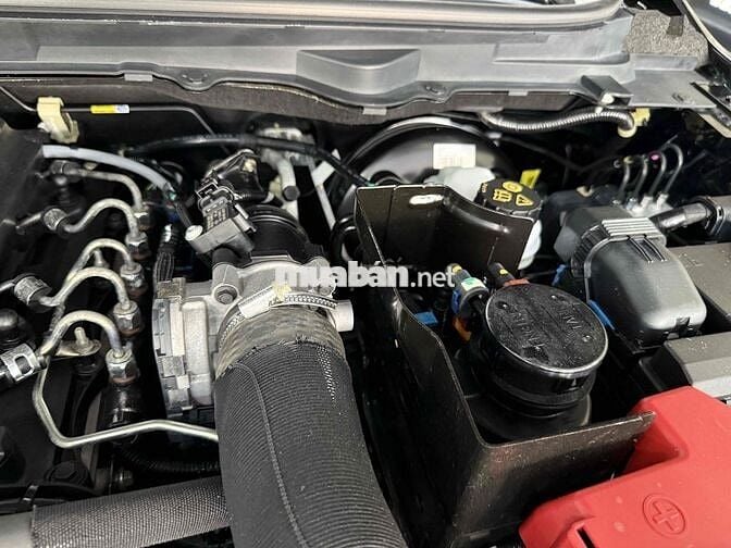 Ranger số sàn 2 cầu một chủ ODO mới 34 ngàn🎉