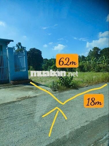 Đất Tân Phú Trung 1009m2 full thổ thích hợp xây xưởng