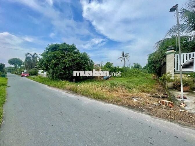 🔥 Đất mặt tiền Trương Thị Kiện – 284m² full thổ cư, sát TL7 - 1 tỷ 780