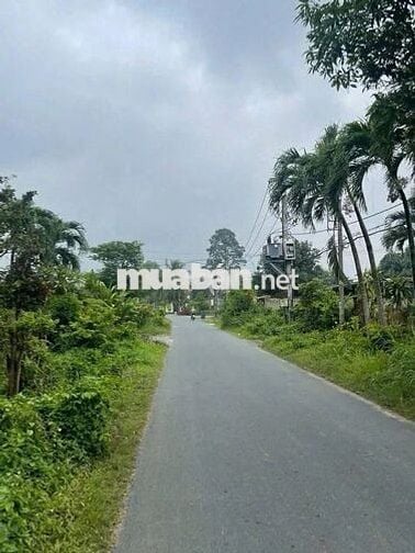 🔥 Đất mặt tiền Trương Thị Kiện – 284m² full thổ cư, sát TL7 - 1 tỷ 780