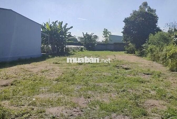 Đất Tân Phú Trung 1009m2 full thổ thích hợp xây xưởng