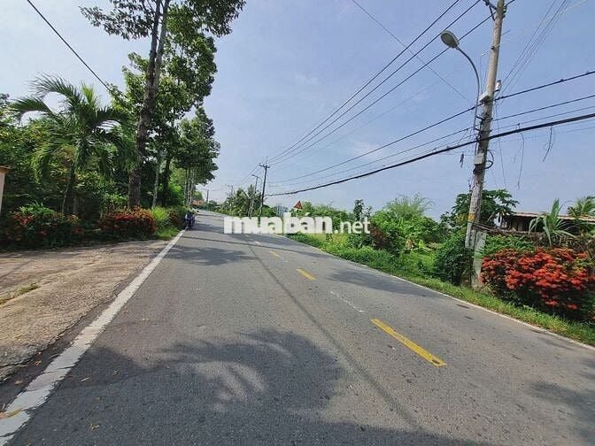 🔥 Đất mặt tiền Cây Trôm Mỹ Khánh – 125m² thổ cư 100m², giá 1,69 tỷ TL