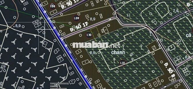 Đất Tân Phú Trung 1009m2 full thổ thích hợp xây xưởng