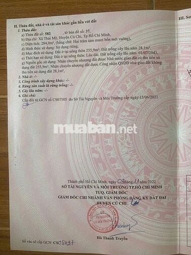 🔥 Đất mặt tiền Trương Thị Kiện – 284m² full thổ cư, sát TL7 - 1 tỷ 780