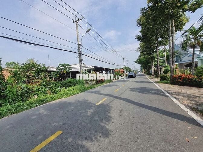 🔥 Đất mặt tiền Cây Trôm Mỹ Khánh – 125m² thổ cư 100m², giá 1,69 tỷ TL