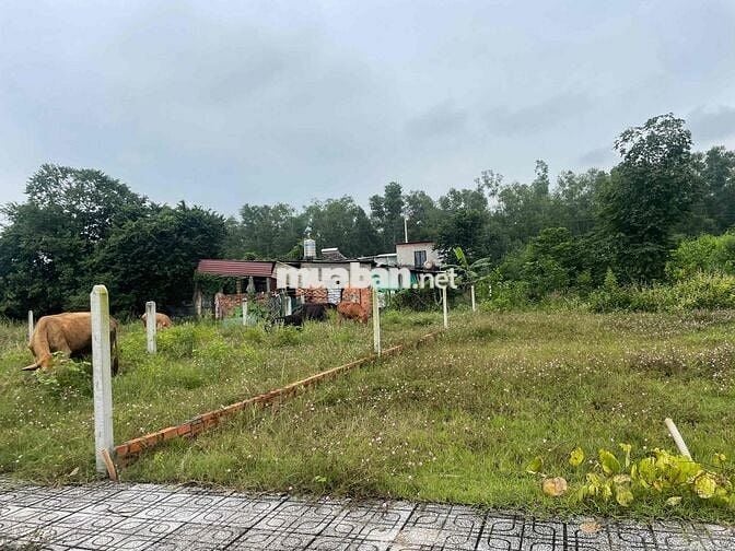 10x25 m2 thổ cư Tân Phú Trung ngay UBND Xã Củ Chi - SHR