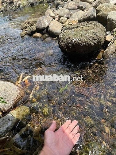 Lồ Đất Ngộp Trung Tâm Bình Long