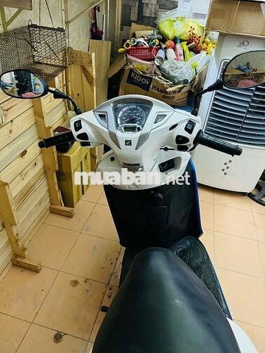 honda Lead 2017 gia đình