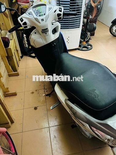 honda Lead 2017 gia đình