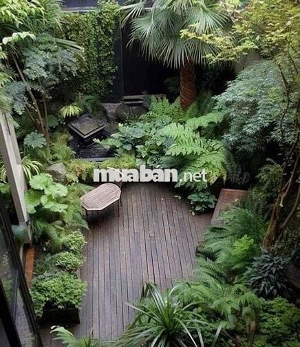 Lồ Đất Ngộp Trung Tâm Bình Long