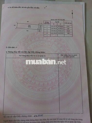 BÁN ĐẤT ẤP MỚI 2,ĐƯỜNG GÒ HƯU,XÃ MỸ HẠNH NAM LONG AN