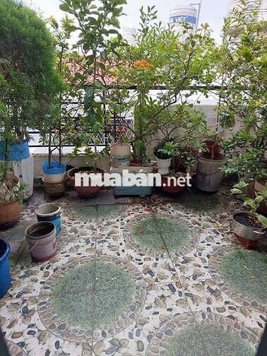 Tỉnh lộ10 HXH 1/ bình tân , 2 tỷ 6  5 tầng