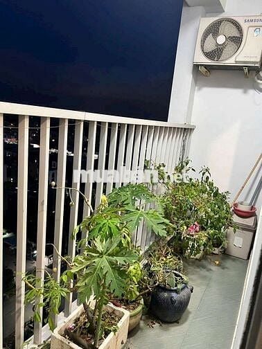 (7587) star tower, 55,6 m² sổ hồng 1,3 tỷ. Ép giá được 1,2 tỷ