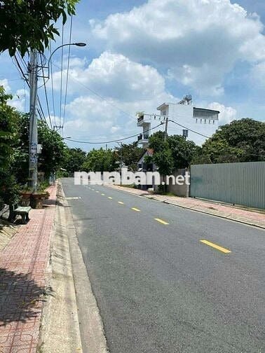 3 lô đất liền kề 5 x 36 (176m2)  Mặt tiền đường Tân Hiệp 32