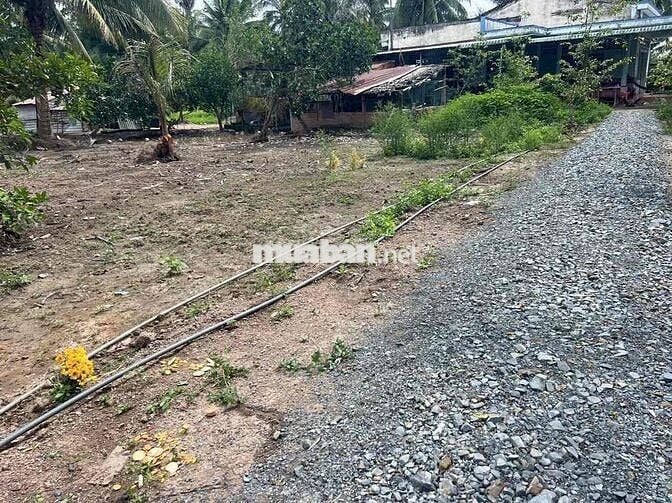 Đất nền Thổ cư xã Tân Long Hội Vĩnh linh