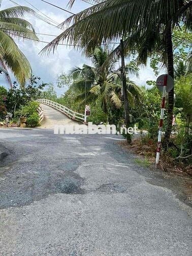 Đất nền Thổ cư xã Tân Long Hội Vĩnh linh