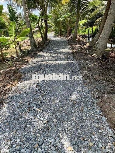 Đất nền Thổ cư xã Tân Long Hội Vĩnh linh