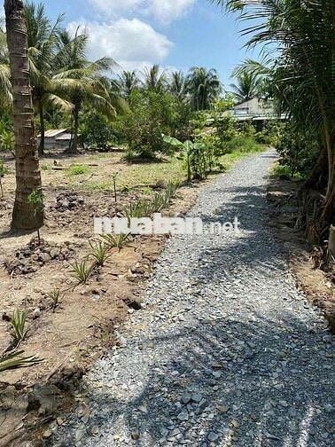 Đất nền Thổ cư xã Tân Long Hội Vĩnh linh