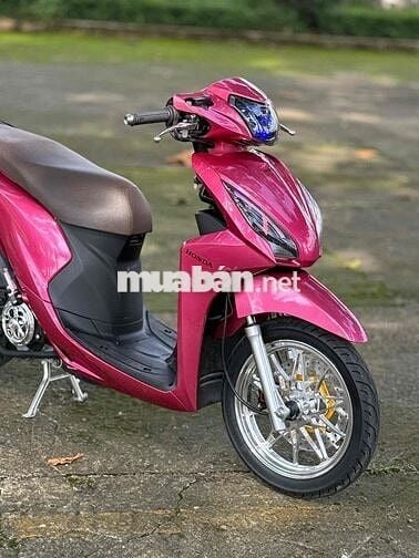 Vision full kiểng hỗ trợ góp