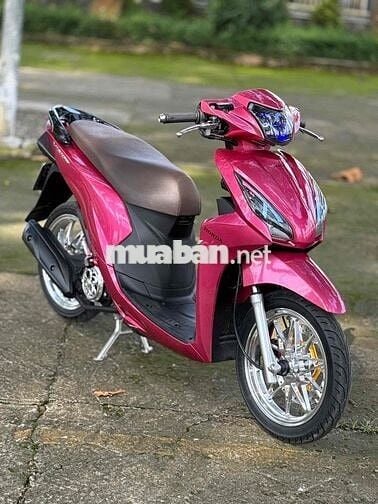 Vision full kiểng hỗ trợ góp