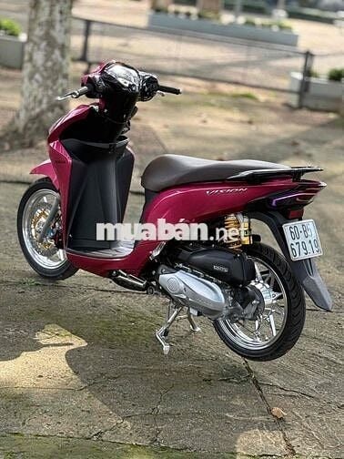 Vision full kiểng hỗ trợ góp