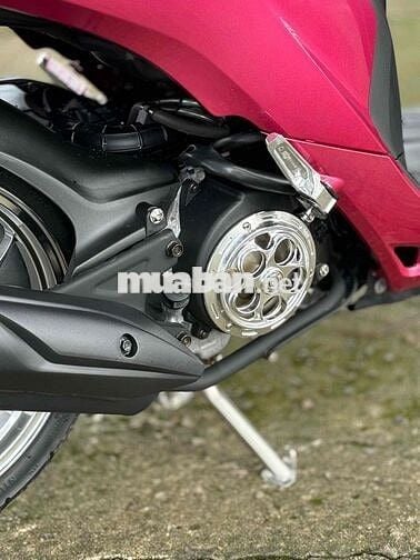 Vision full kiểng hỗ trợ góp