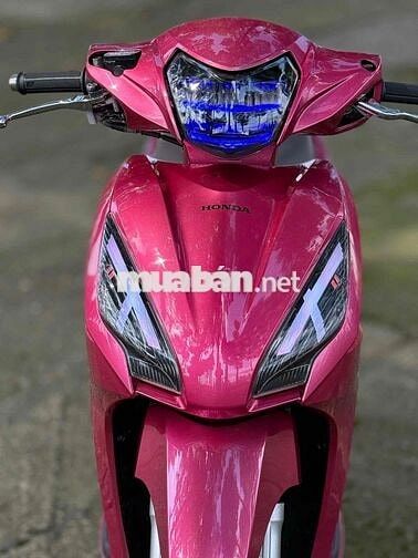 Vision full kiểng hỗ trợ góp