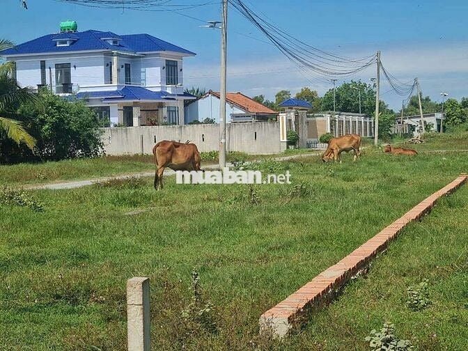 Bán đất sát QlN2 105m2 thổ cư giá 1 tỷ 050tr