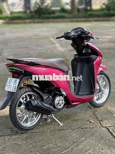 Vision full kiểng hỗ trợ góp