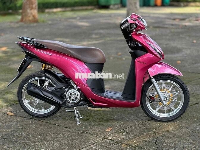 Vision full kiểng hỗ trợ góp