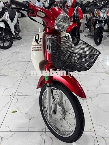 ✅CUP 50cc 2023 ĐẸP ZIN NHƯ MỚI 👍