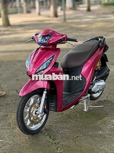 Vision full kiểng hỗ trợ góp