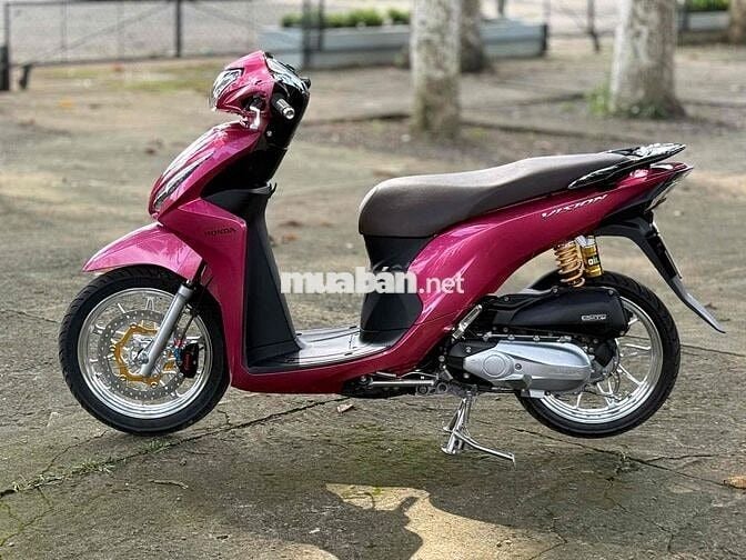 Vision full kiểng hỗ trợ góp