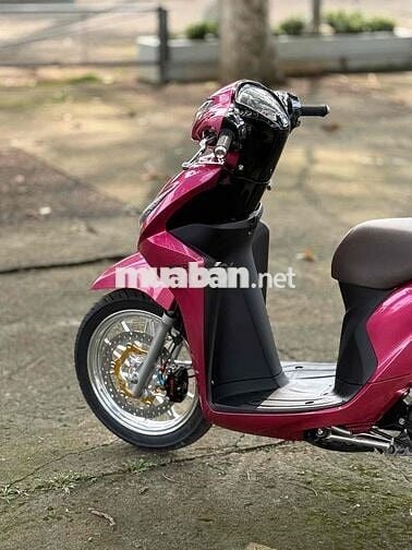 Vision full kiểng hỗ trợ góp