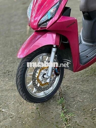 Vision full kiểng hỗ trợ góp