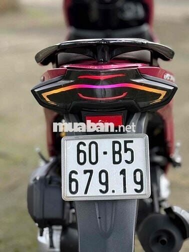 Vision full kiểng hỗ trợ góp