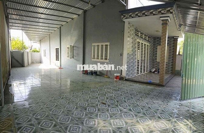 Bán Nhà Cấp 4 1xẹt Đường Nguyễn Hữu Cảnh, Bình Nhâm, Giá 3ti650, Dt 19