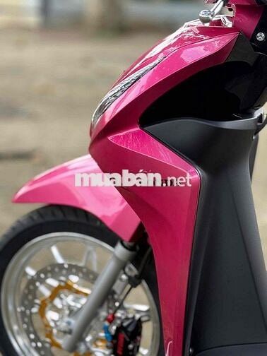 Vision full kiểng hỗ trợ góp