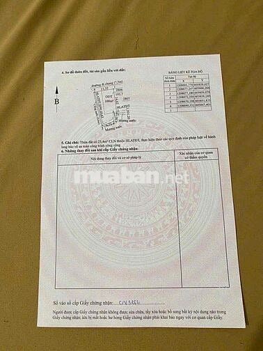 Bán Nhà Cấp 4 1xẹt Đường Nguyễn Hữu Cảnh, Bình Nhâm, Giá 3ti650, Dt 19