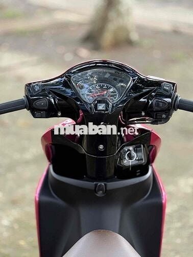 Vision full kiểng hỗ trợ góp