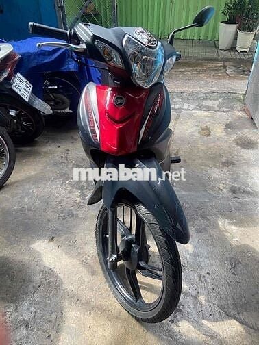 xe bstp , cà vẹt đầy đủ