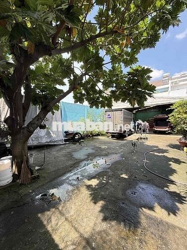 LÔ ĐẤT HIẾM GIÁP TÂN PHÚ – NGANG 9M - HẺM 8M XE TẢI – DT 225M² (9x25)