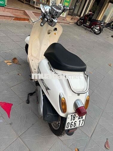 50cc việt thái ko cần bằng