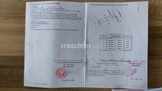 Giảm 350tr Bán Gấp đất thổ 5x25 đường 460, Trung An, Củ Chi, 