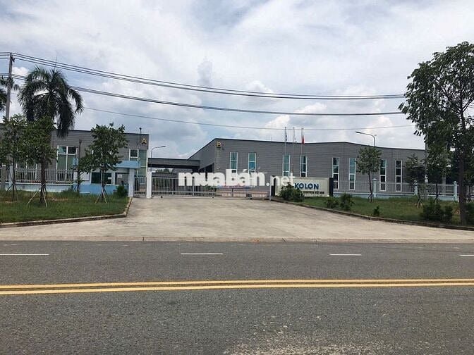 Bán Ngộp Đất Thới Hòa Bến Cát 300m2 950tr.Hợp đầu tư xây trọ cho thuê