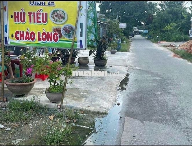 BÁN ĐẤT 305m2 xã TÂN THÔNG HỘI 950TR CÒN THƯƠNG LƯỢNG, SẲN SỔ RIÊNG