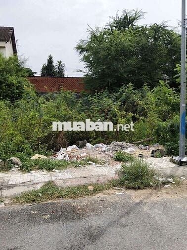 Hàng Hiếm còn sót _ GB Đất KHU PHÂN LÔ ĐƯỜNG 8m vỉa hè -  P. Tam Bình.